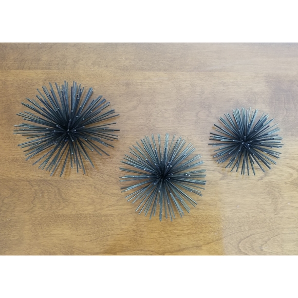 unknown Wall Decor | Sea Urchin Wall Decor Set 3 | Poshmark